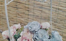 Shabby Home